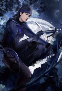 穿越之武破九霄